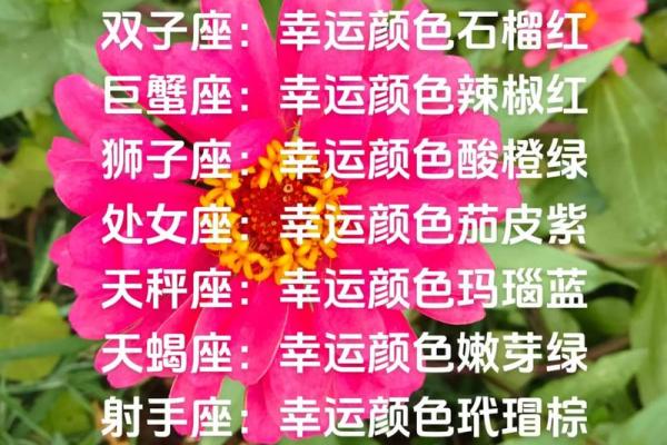 2025年4月7日白羊座今日运势颜色 2025年4月7日白羊座今日运势颜色