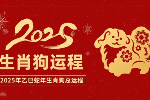 82年属狗人今年的财运_82年属狗人2023年财运解析运势如何