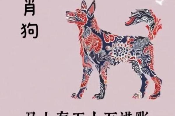 82年属狗人今年的财运_82年属狗人2023年财运解析运势如何