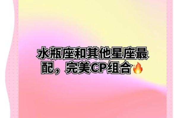 双子座水瓶座爱情运势(双子座水瓶配对指数)