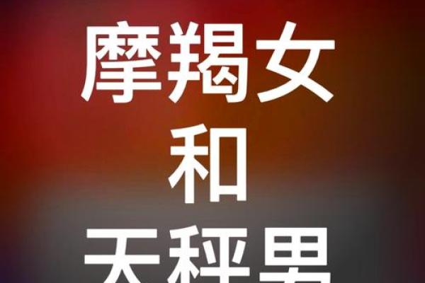 天秤座男和双子座女的匹配度(天秤座男和双子座女的匹配度谁高)