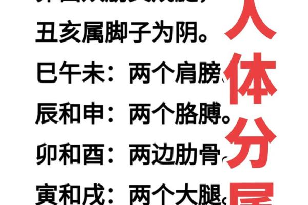 八字过硬有哪些说法呢