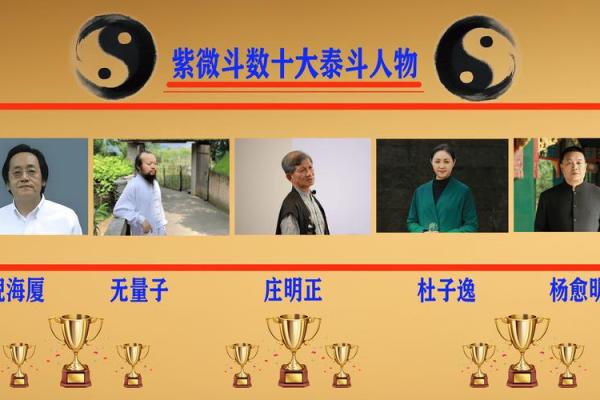 马云的紫薇斗数