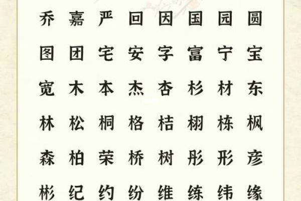凌晨5点出生的属蛇男孩怎样起名，宜用什么字姓名