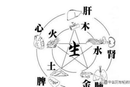 女孩缺木缺水取名宝典,八字看下半年运势