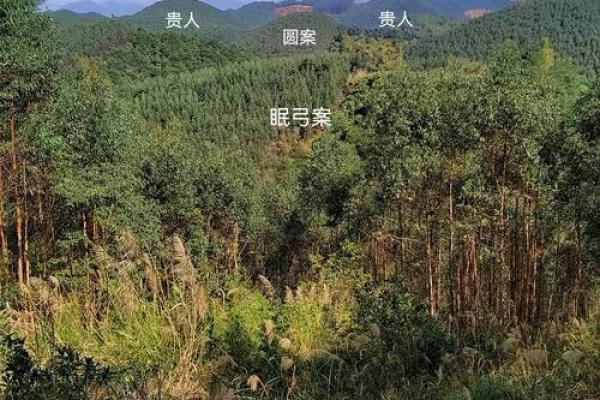 坟地风水怎么看，教你看出坟地好风水