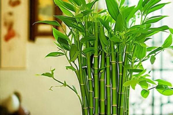 客厅风水摆设布置如何保家庭平安