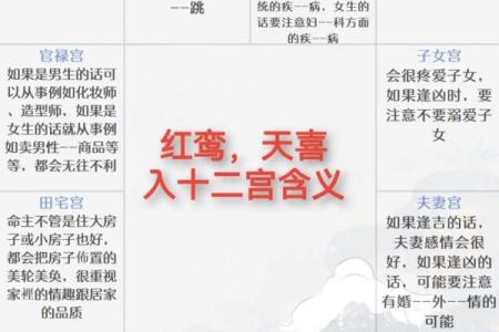 紫微斗数台辅星在命宫 台辅在命宫的女人？