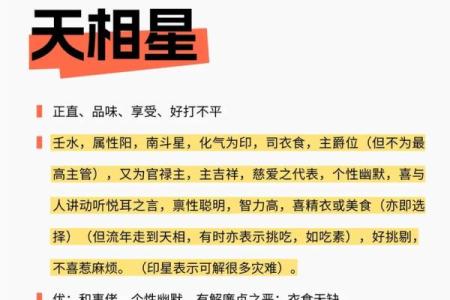 紫薇斗数主星组合