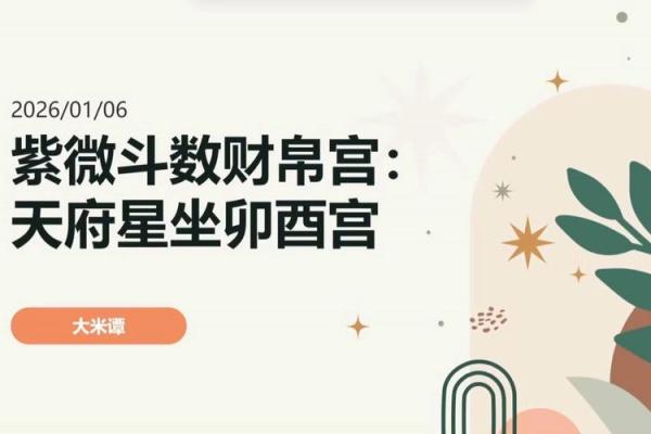紫微斗数财帛宫破军入庙 财帛宫 破军？