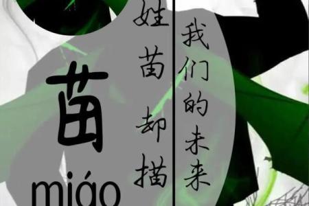 苗姓男孩名字大全-苗姓男孩起名字大全-苗姓名字大全姓名