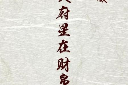 紫微斗数财帛宫破军入庙 财帛宫 破军？
