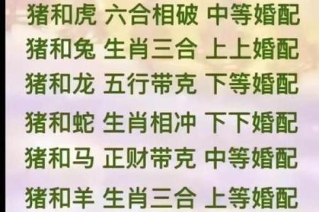 属鼠和属龙的八字合不合得来,属龙的跟属鼠的合财吗