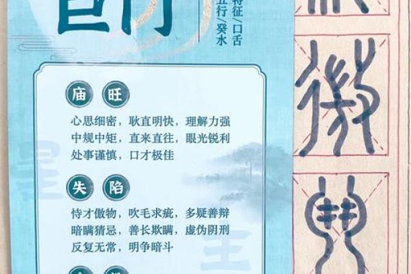 巨门在紫薇斗数中什么意思