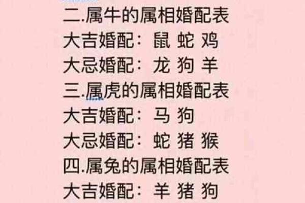 属相配对算命