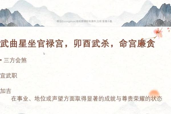 紫薇斗数华盖在官禄宫