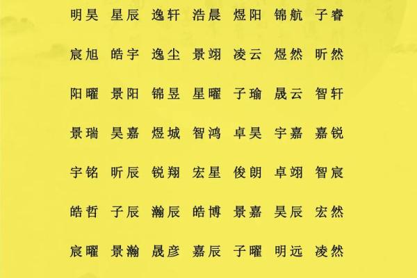 给属鼠子时出生的男孩取名的小妙招姓名