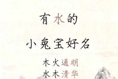 8月份出生的属兔男孩要怎样取名姓名