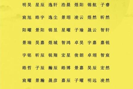 给属鼠子时出生的男孩取名的小妙招姓名