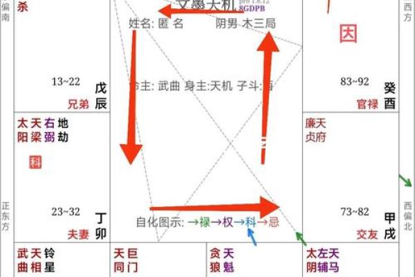 紫微斗数案例48财官：能力强、欲望大的人，愿你的命盘不是这样