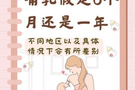 八字奶是什么意思